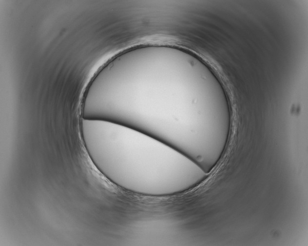 X0000111131248200906301058