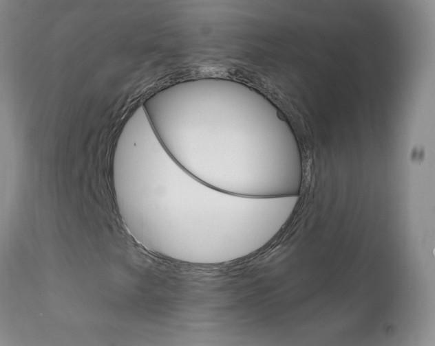 X0000111131249200906301057