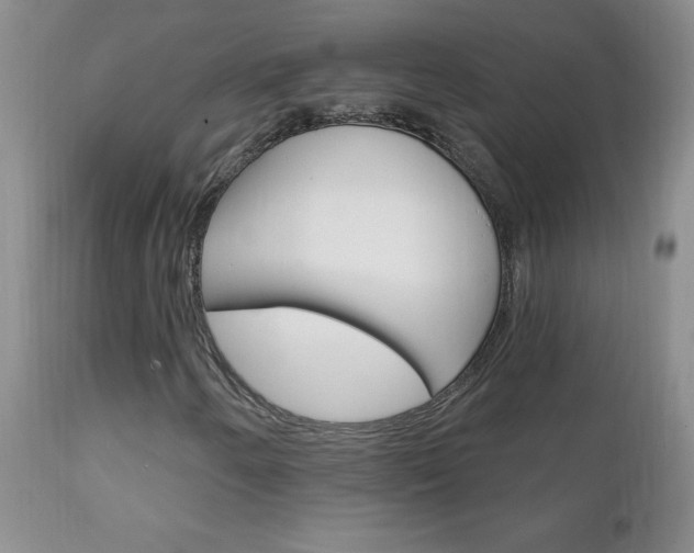 X0000111131250200906301057