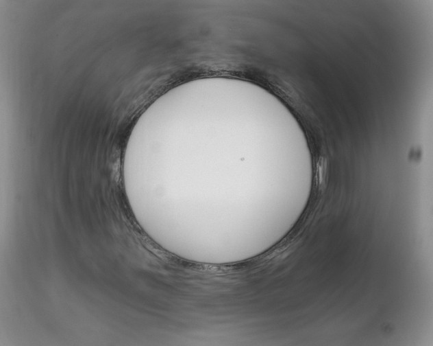 X0000111131251200906301057