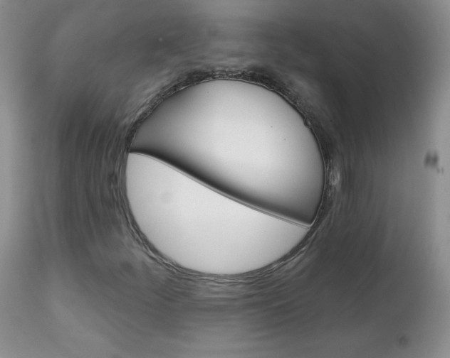X0000111131252200906301057
