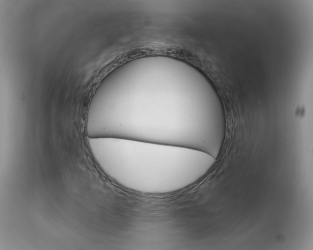 X0000111131253200906301057