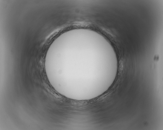 X0000111131254200906301057