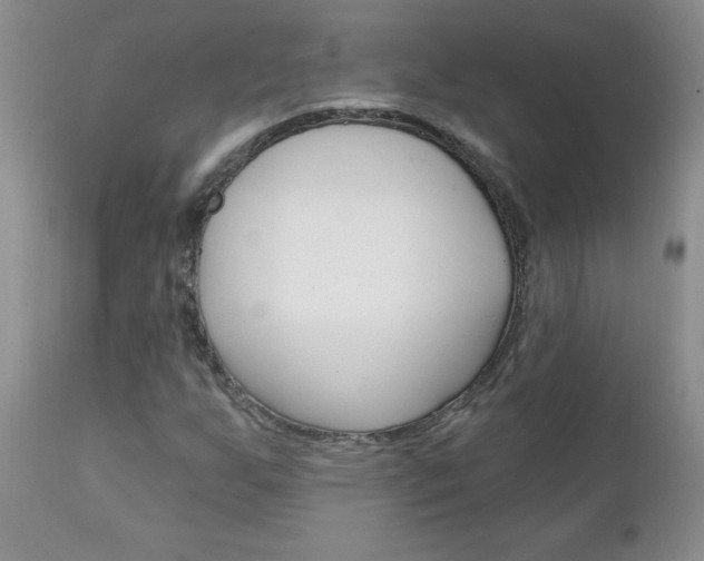 X0000111131255200906301057