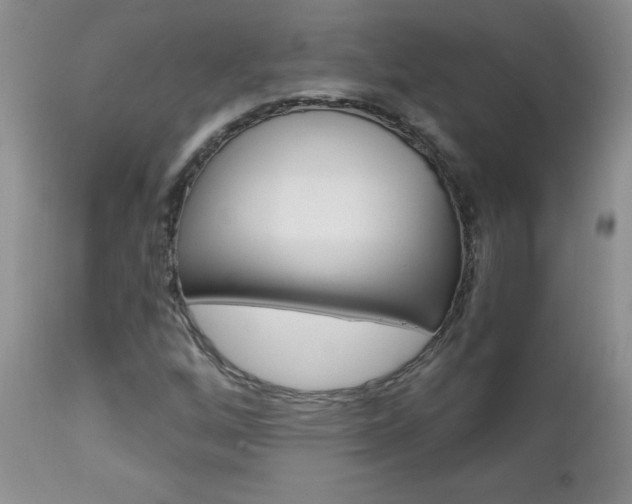X0000111131256200906301057