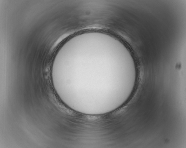X0000111131258200906301057