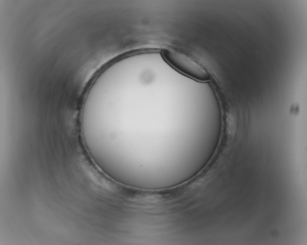 X0000111131260200906301057