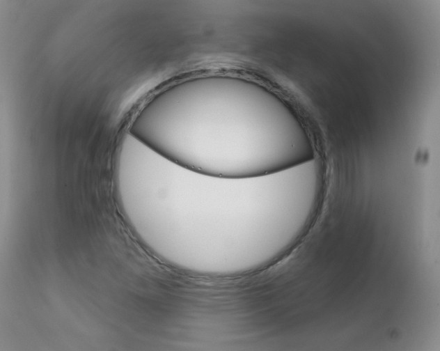 X0000111131261200906301057