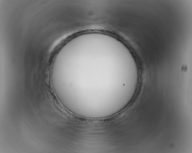X0000111131262200906301057