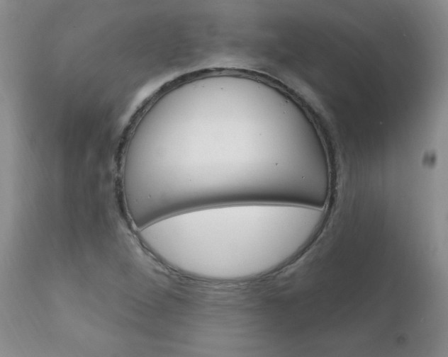 X0000111131264200906301057
