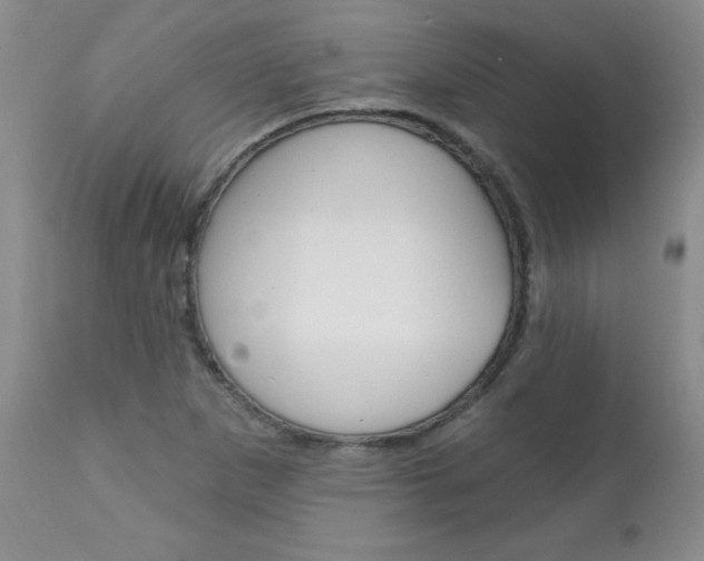X0000111131265200906301057