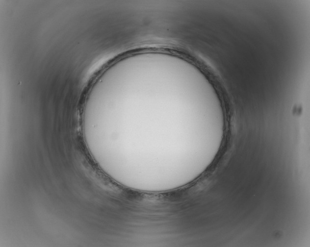 X0000111131267200906301057