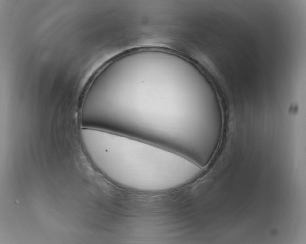 X0000111131268200906301057