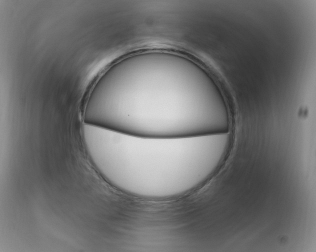 X0000111131269200906301057