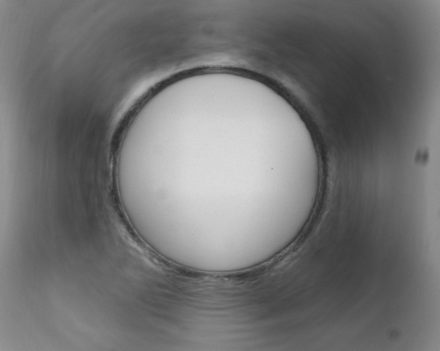 X0000111131270200906301057