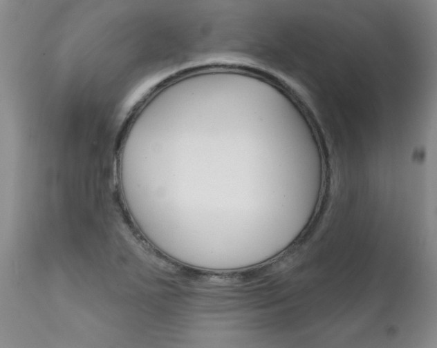 X0000111131271200906301057