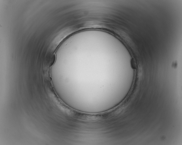 X0000111131273200906301056