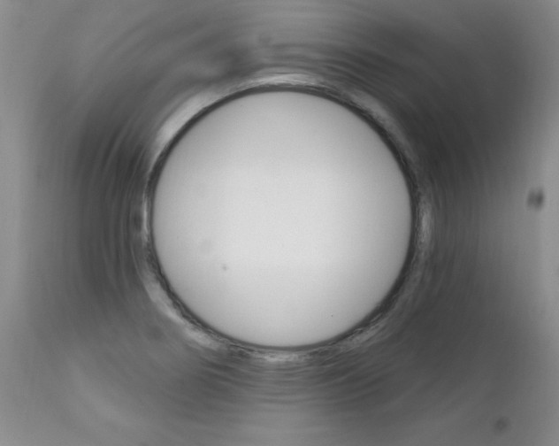 X0000111131274200906301056