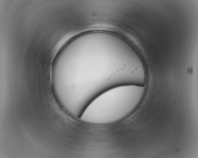 X0000111131275200906301056