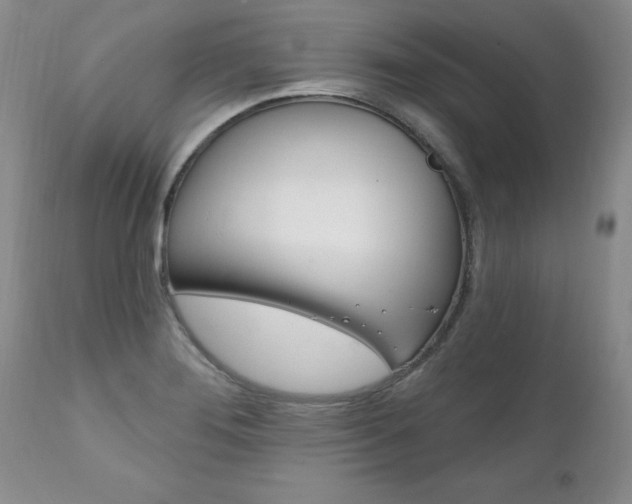 X0000111131276200906301056