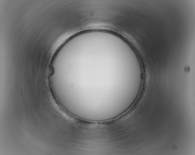 X0000111131277200906301056