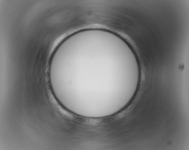 X0000111131278200906301056