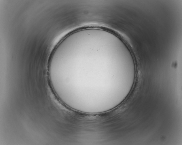 X0000111131279200906301056