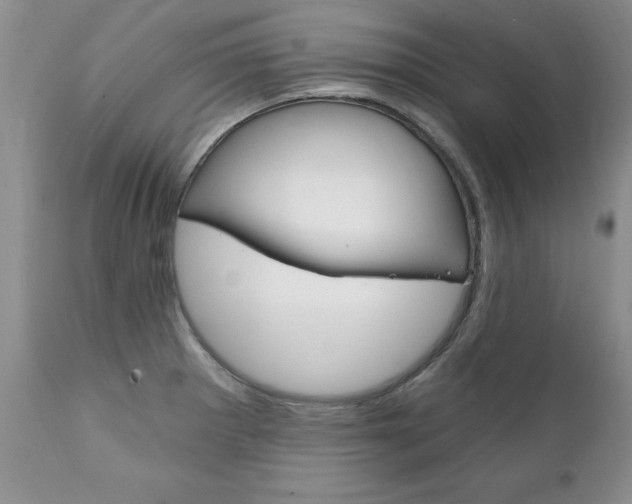 X0000111131281200906301056