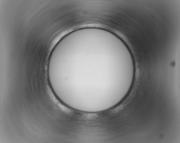 X0000111131282200906301056
