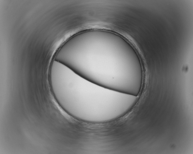 X0000111131285200906301056