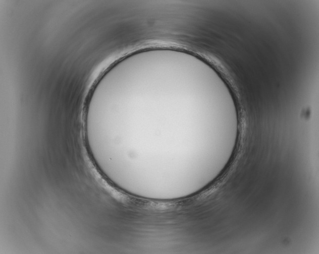 X0000111131286200906301056