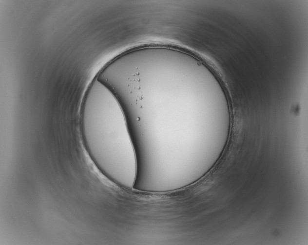 X0000111131287200906301056