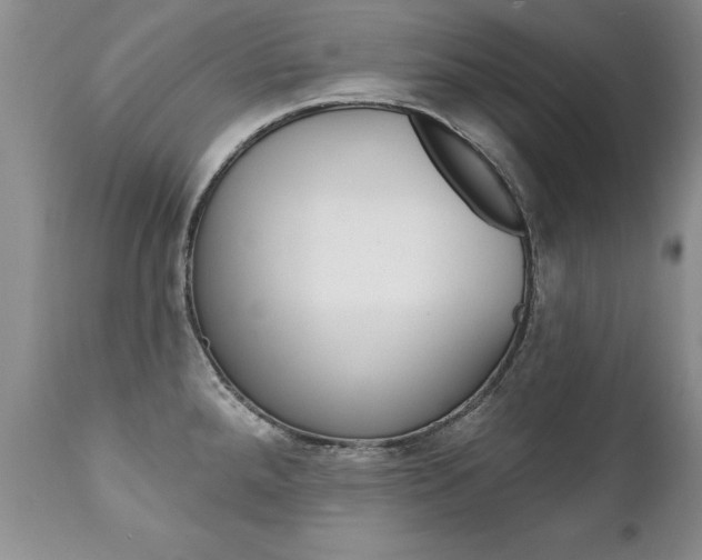 X0000111131288200906301056