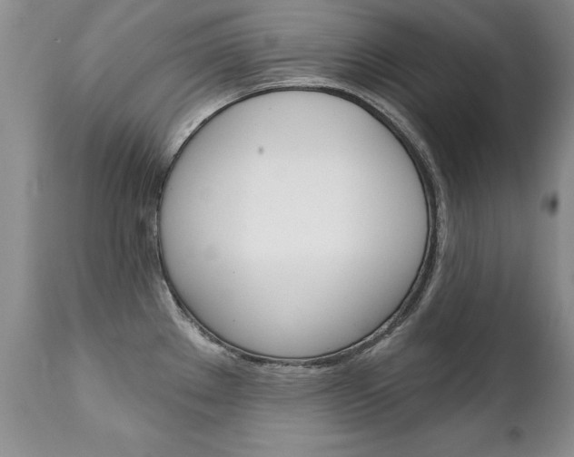 X0000111131289200906301056