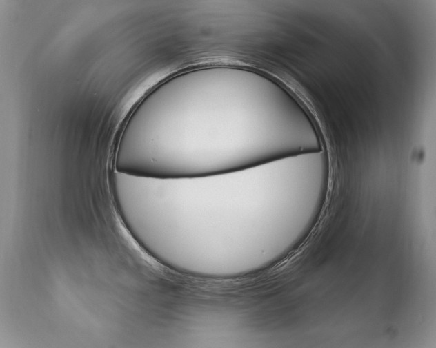 X0000111131293200906301056