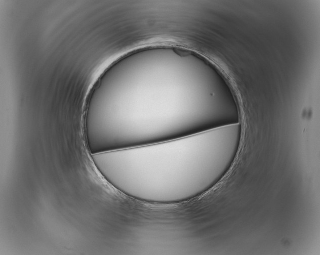 X0000111131296200906301056