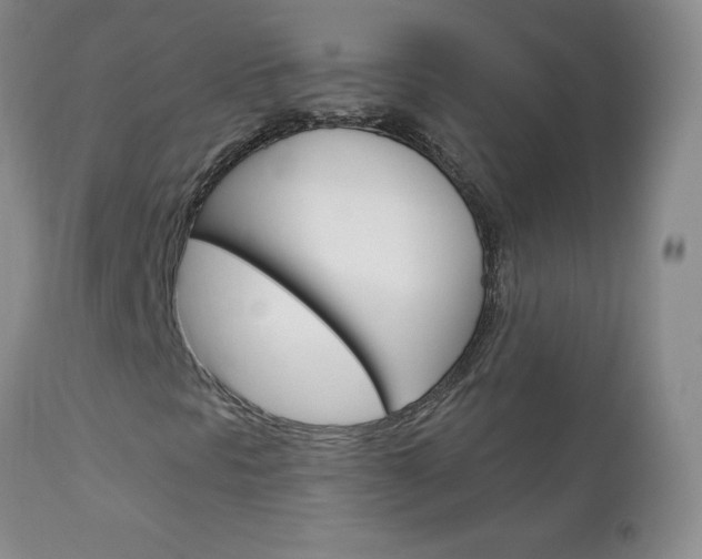 X0000111131297200906301055