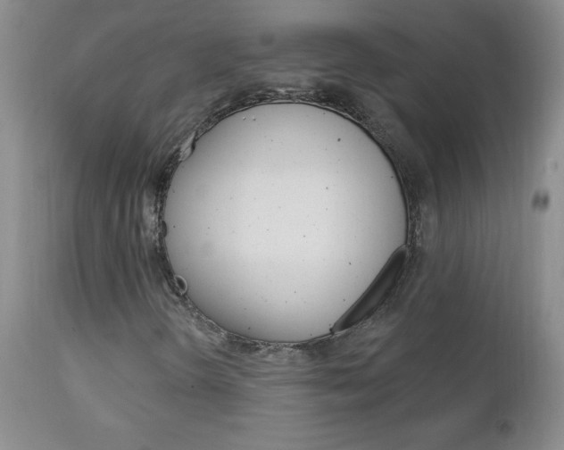 X0000111131298200906301055