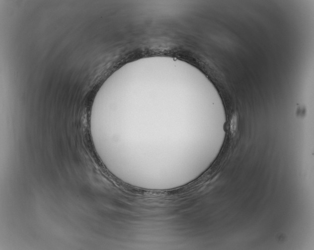 X0000111131299200906301055