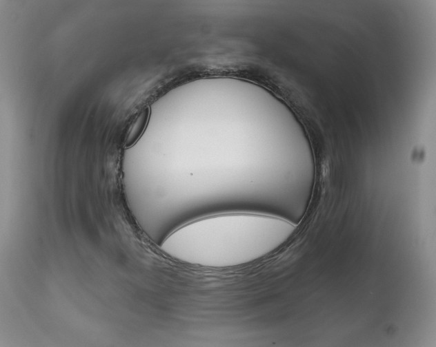 X0000111131300200906301055