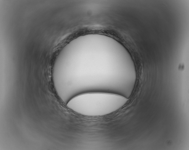 X0000111131301200906301055