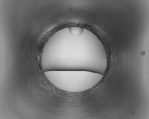 X0000111131302200906301055