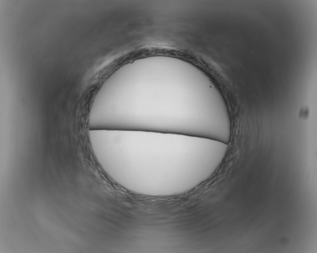 X0000111131303200906301055