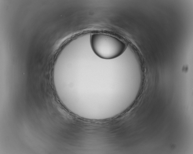 X0000111131304200906301055