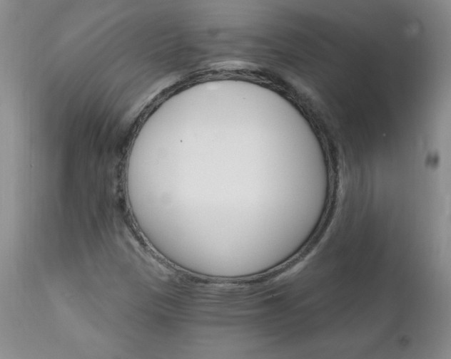 X0000111131305200906301055