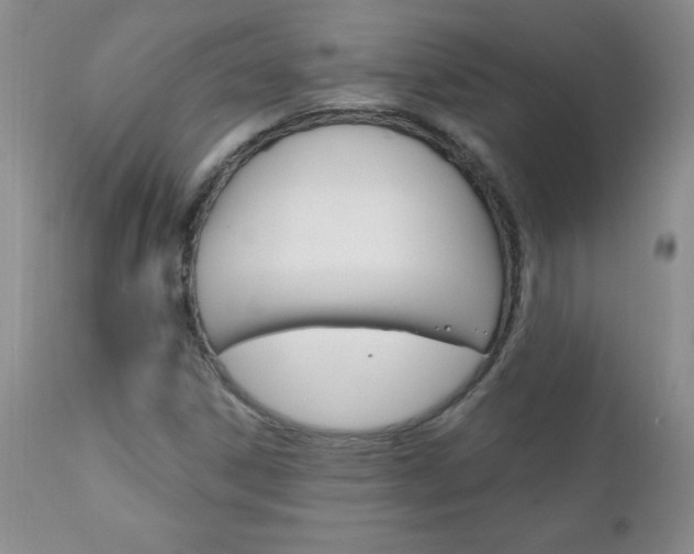 X0000111131306200906301055