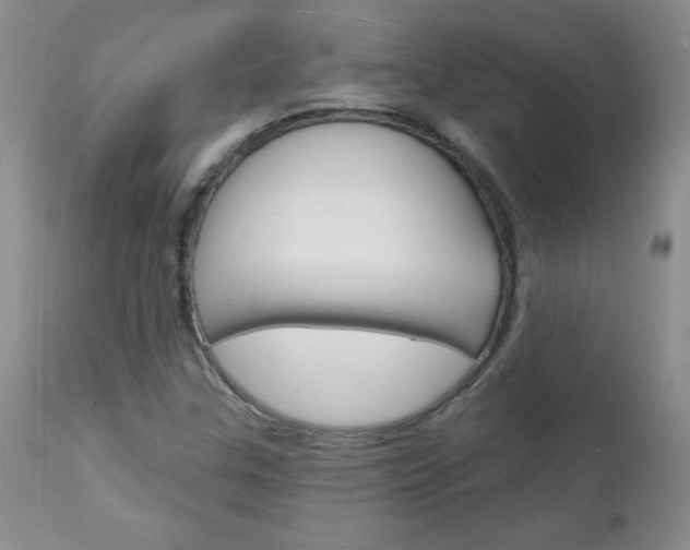 X0000111131307200906301055