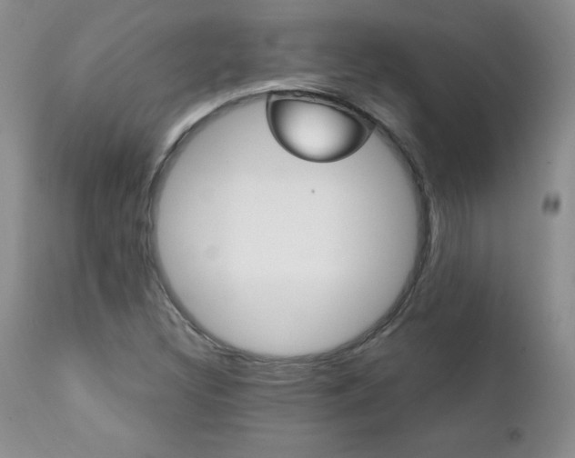 X0000111131308200906301055