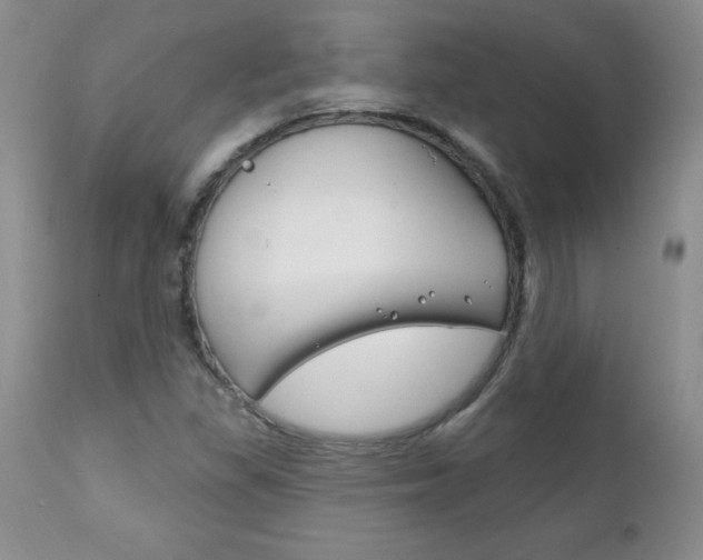 X0000111131309200906301055