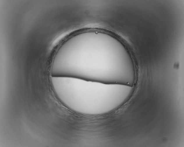 X0000111131311200906301056
